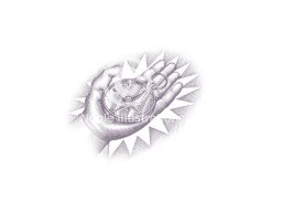 hand compass stock